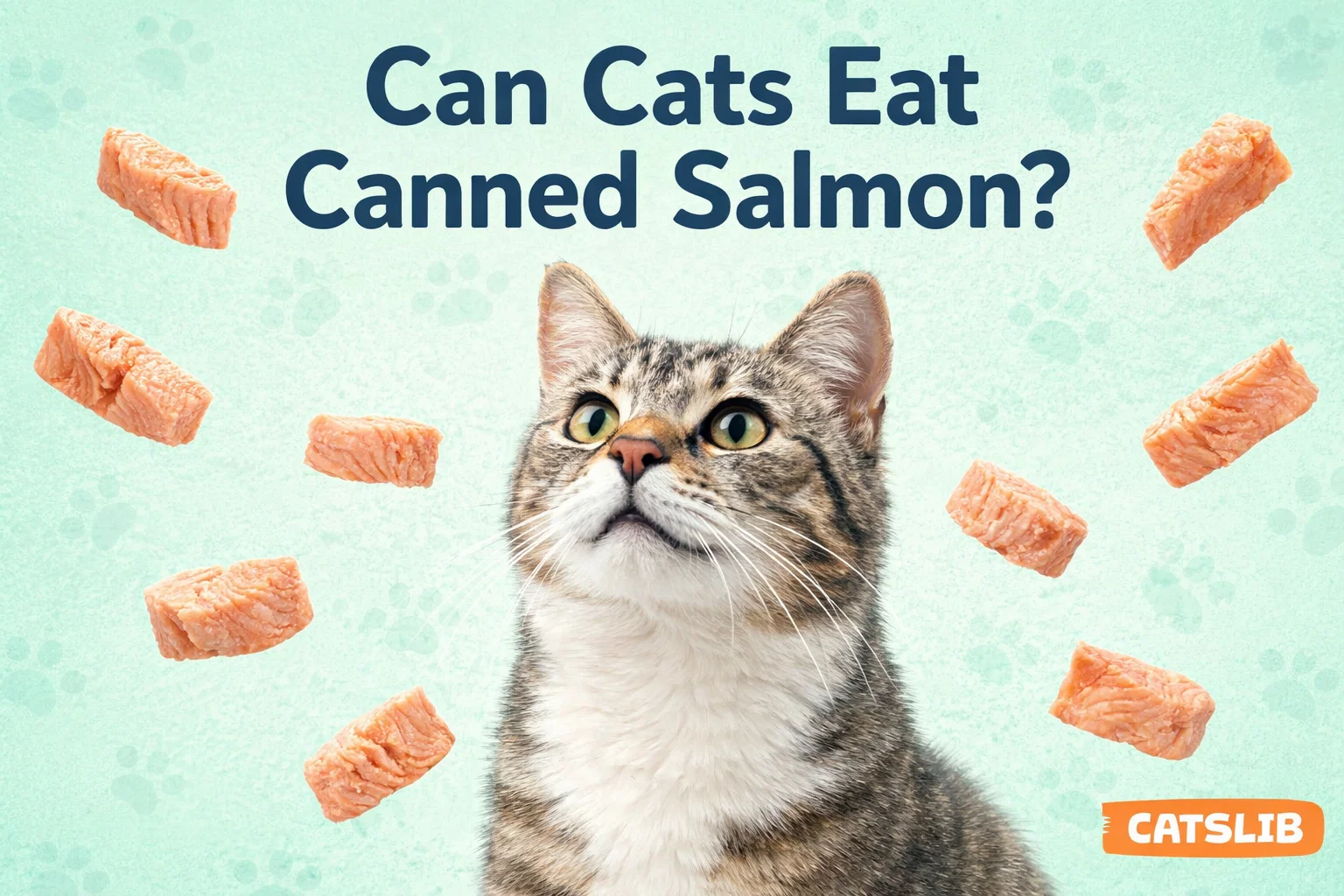 Can of salmon opened on a table