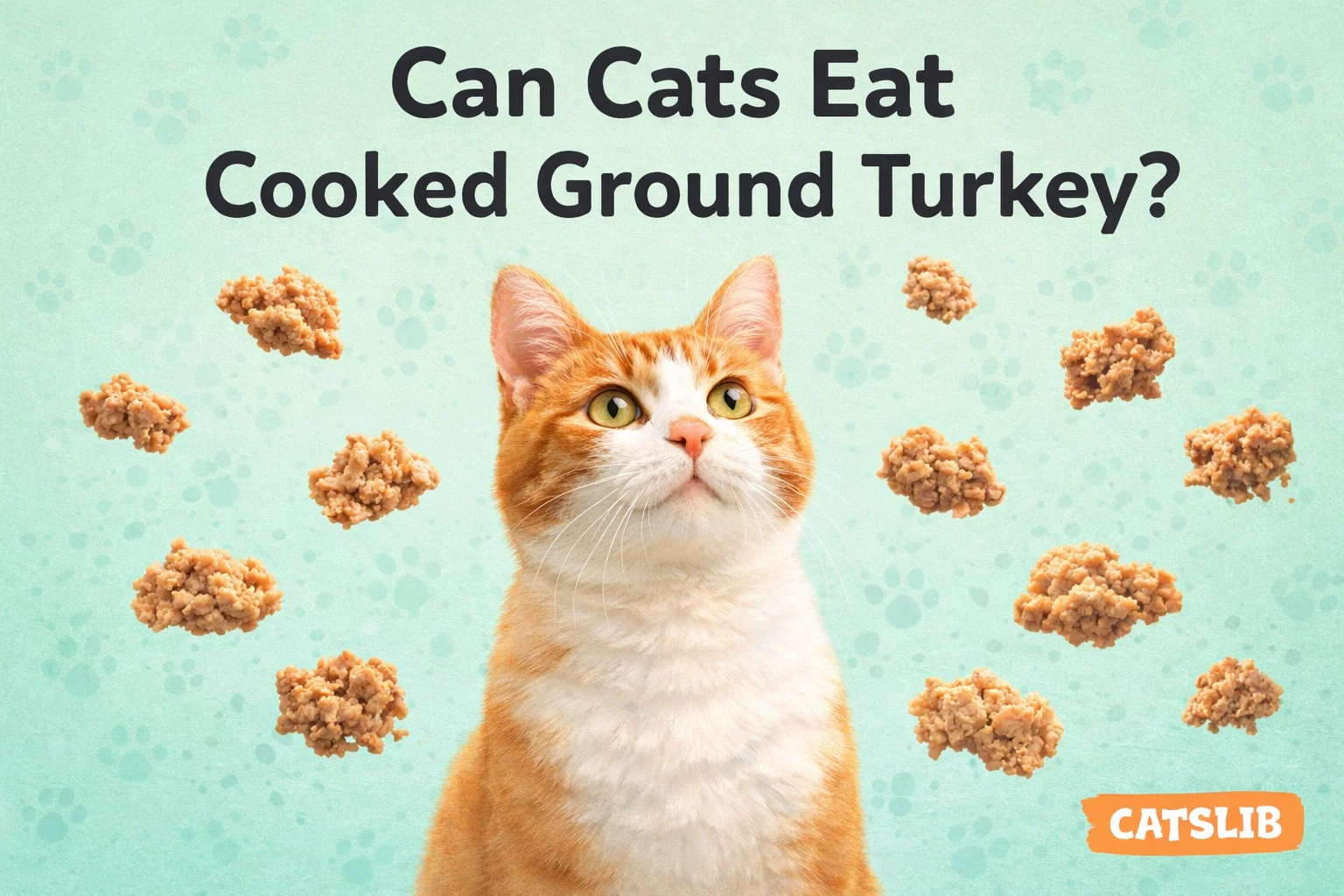 Bowl of cooked plain ground turkey