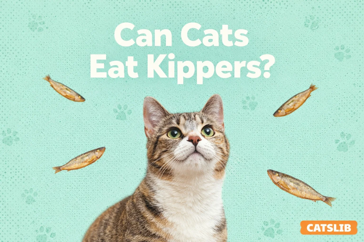 Smoked kippers on a plate