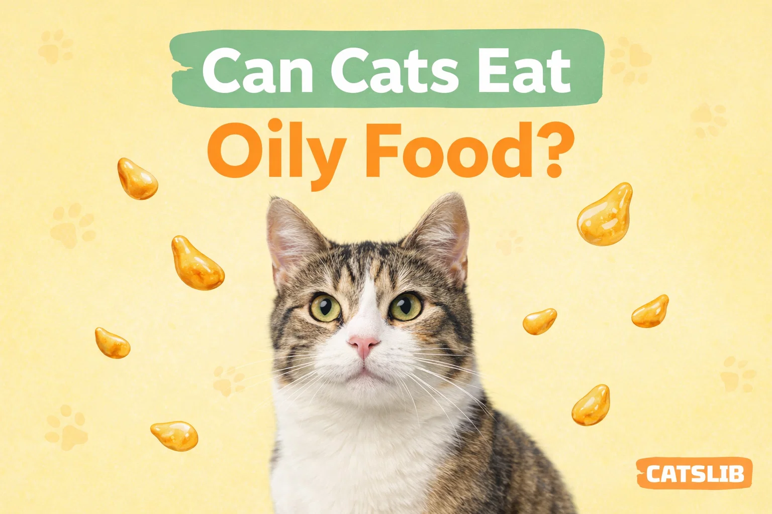 Oily food on a plate