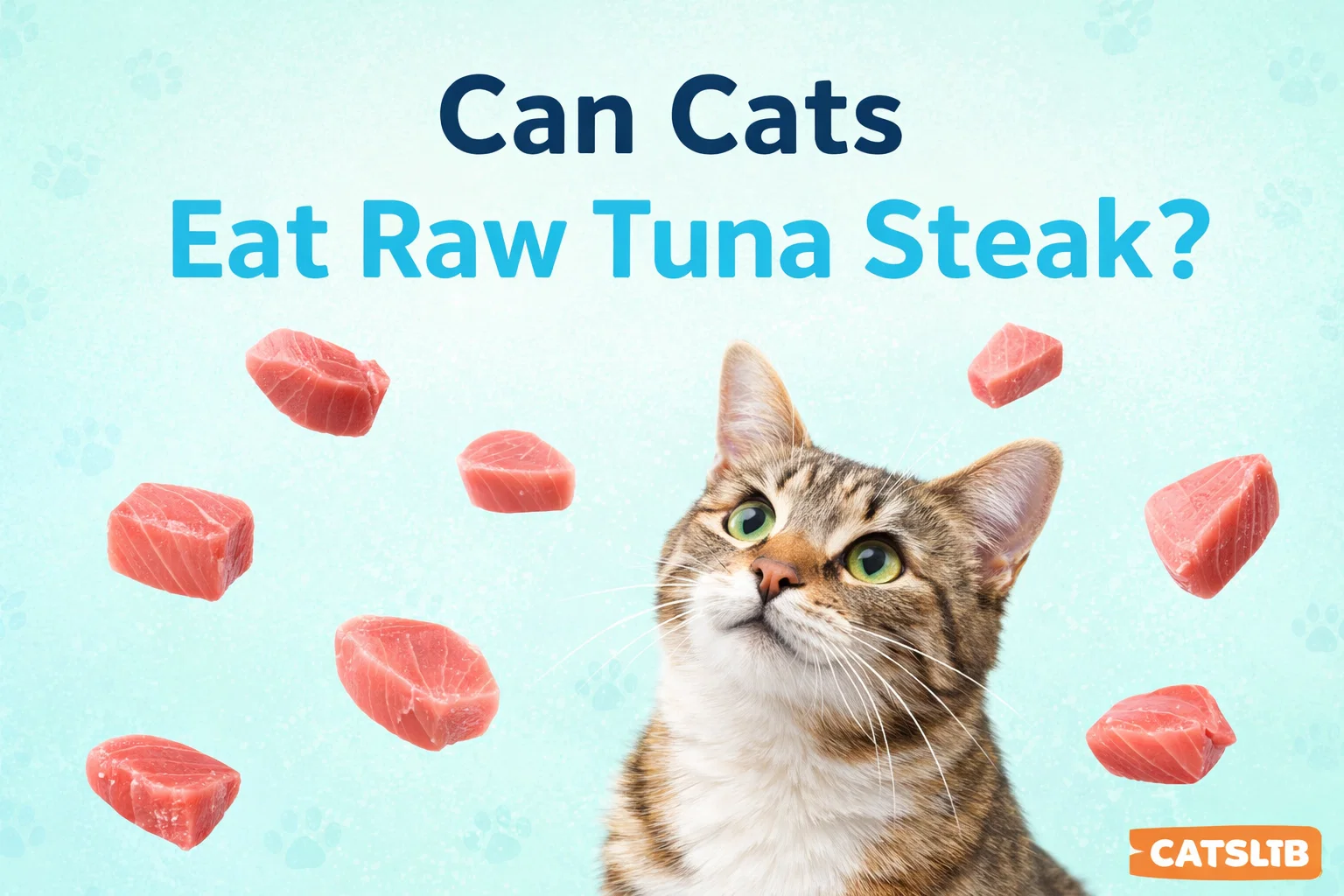 Fresh raw tuna steak on a cutting board