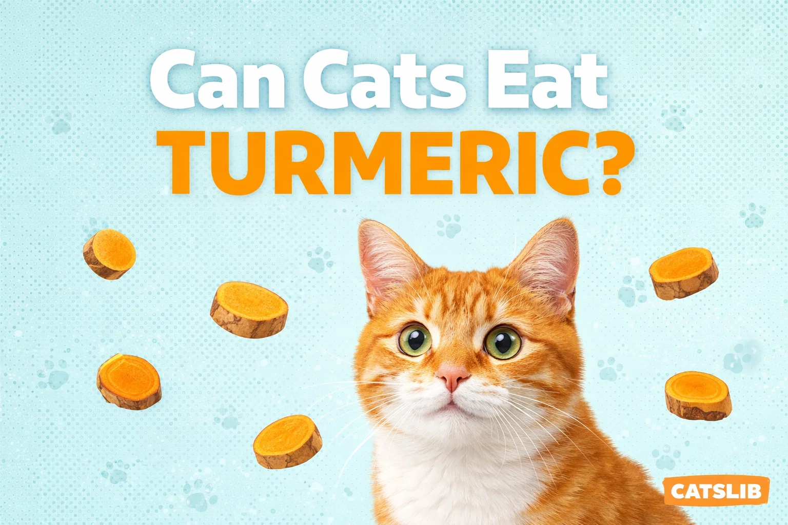 Turmeric powder and fresh turmeric root