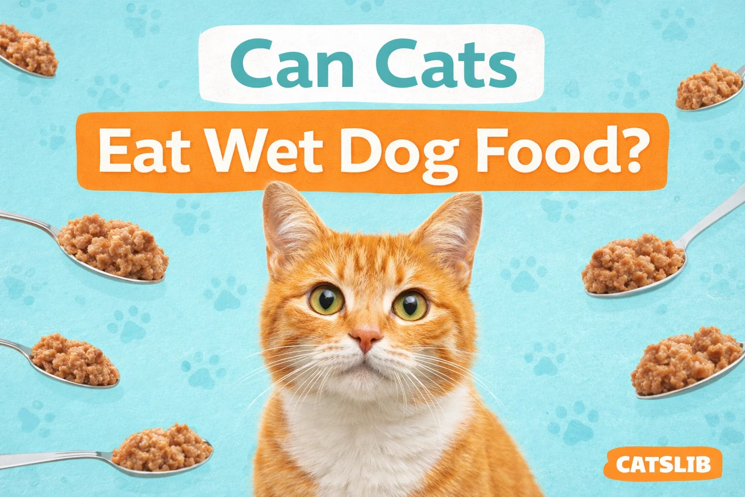 A cat sniffing wet dog food
